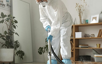 Deep home cleaning — spotless kitchen and living area